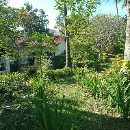 Freedom192 Hotell Weligama Exteriör bild