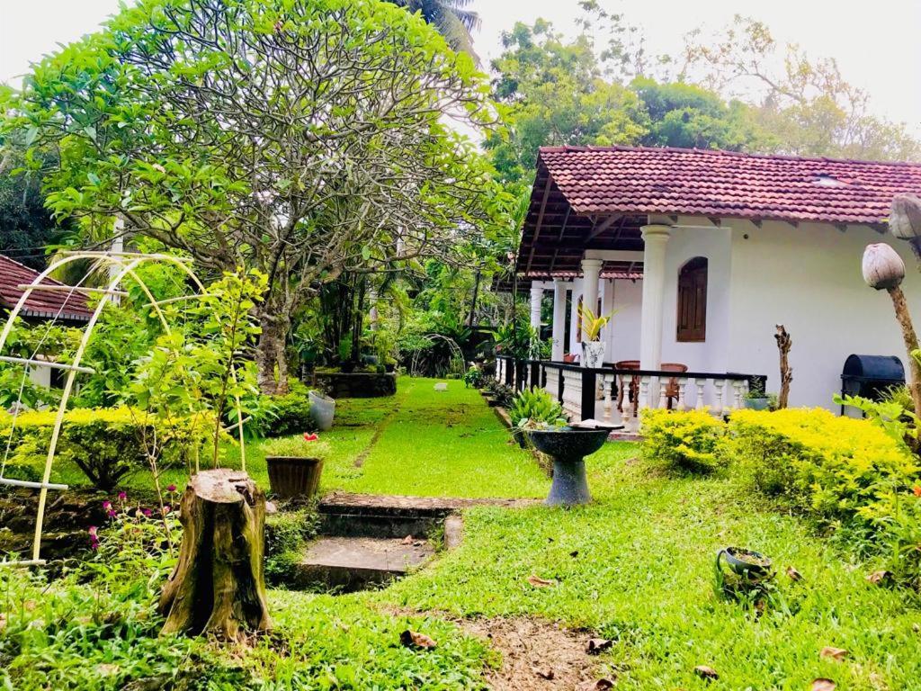 Freedom192 Hotell Weligama Exteriör bild