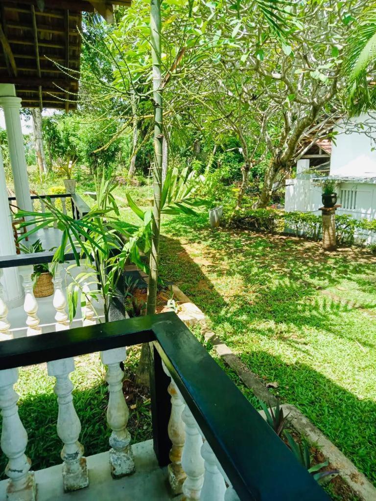Freedom192 Hotell Weligama Exteriör bild