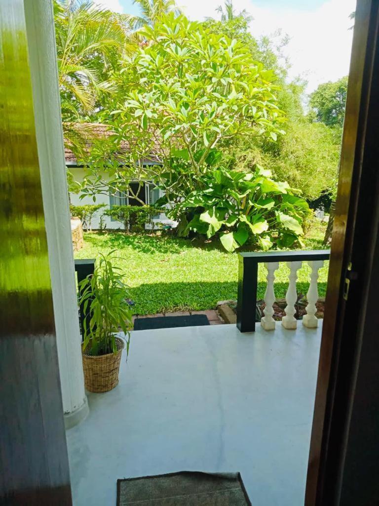 Freedom192 Hotell Weligama Exteriör bild