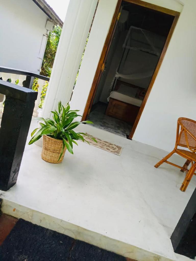 Freedom192 Hotell Weligama Exteriör bild