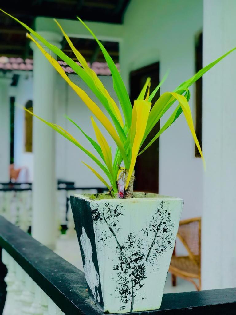 Freedom192 Hotell Weligama Rum bild