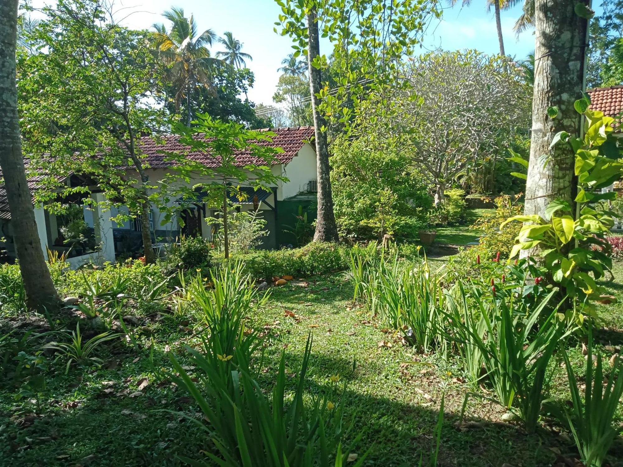 Freedom192 Hotell Weligama Exteriör bild