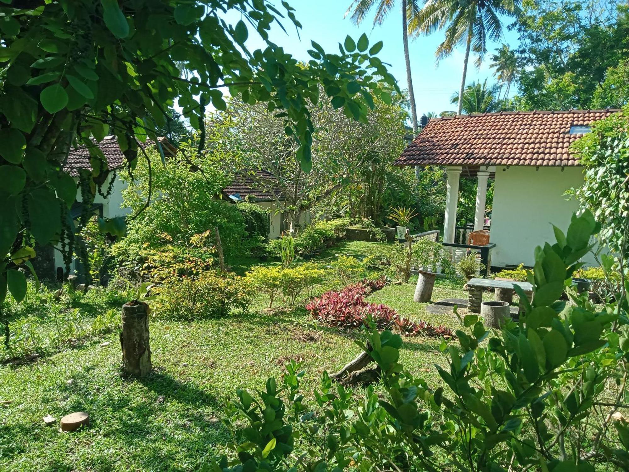 Freedom192 Hotell Weligama Exteriör bild