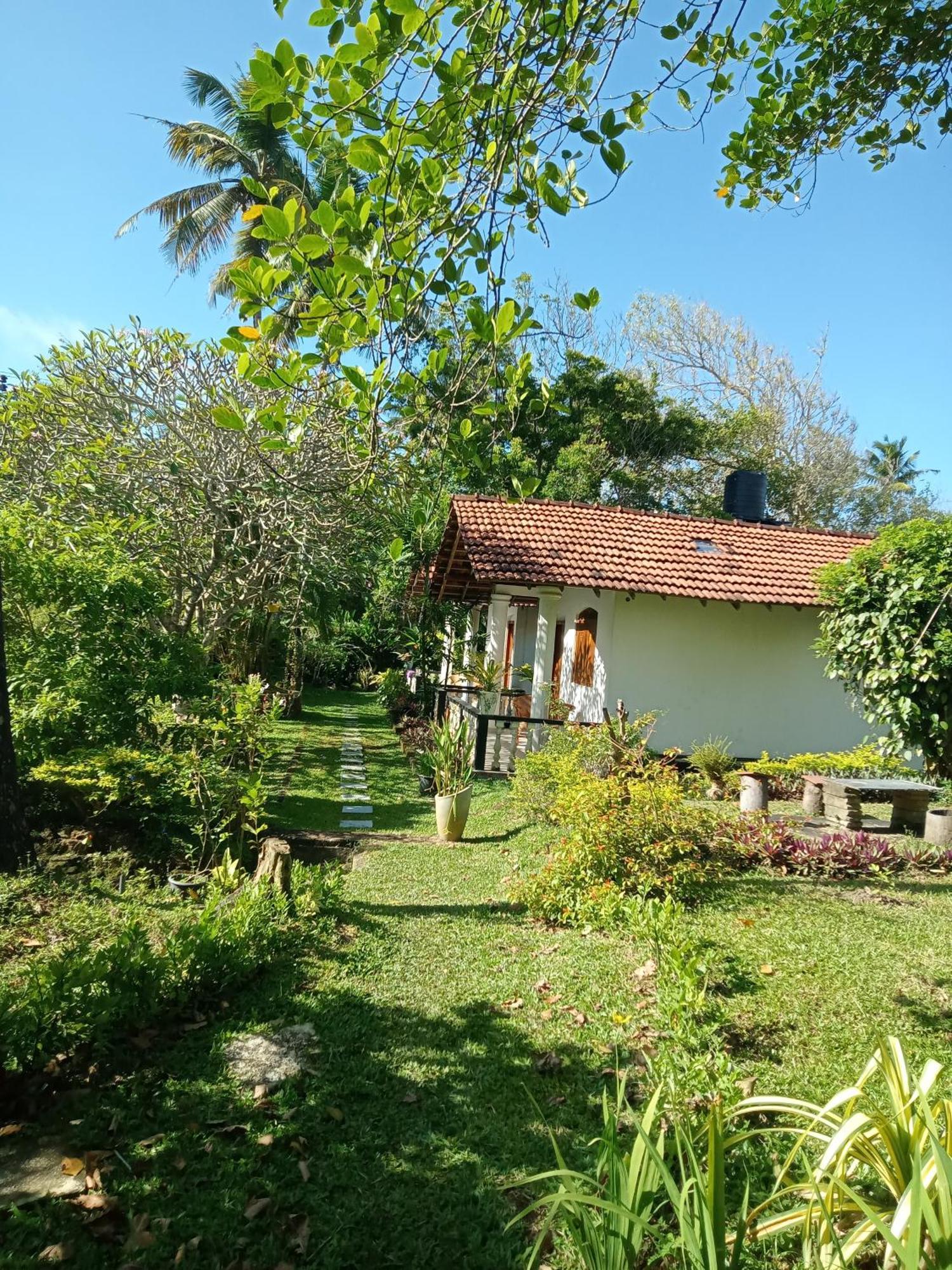 Freedom192 Hotell Weligama Exteriör bild